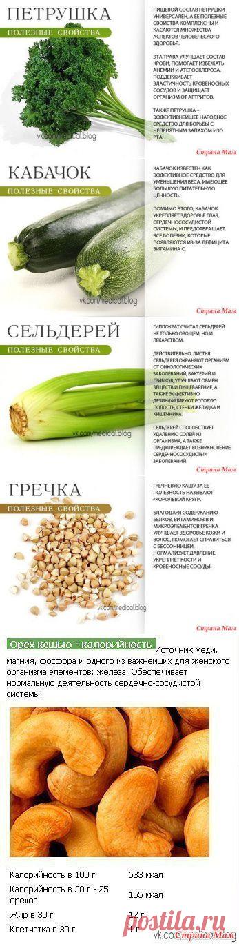 Полезные продукты: овощи, орехи, каши!: Дневник группы "Рецепты для очень занятой мамы" - Страна Мам
