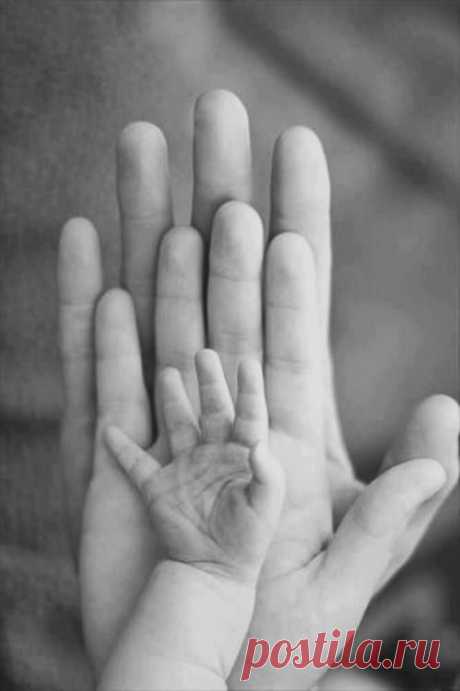 (13) Pinterest