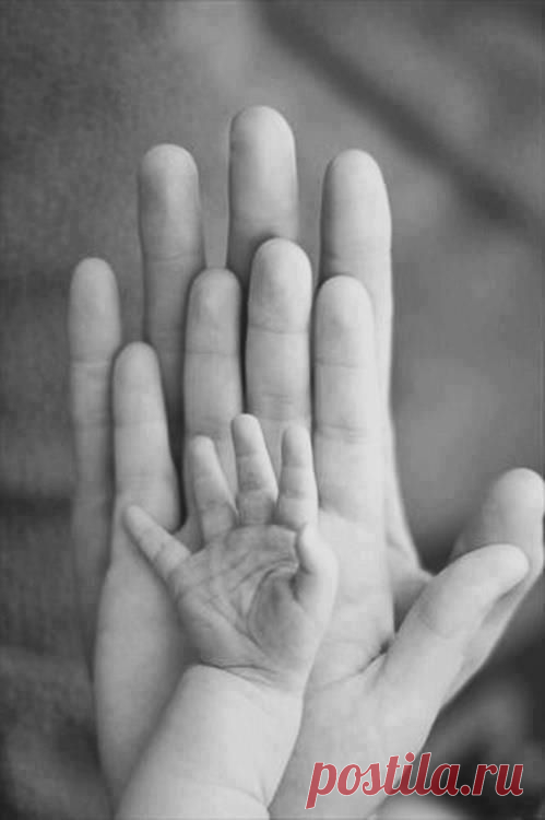 (13) Pinterest