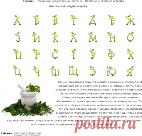 Здоровье. Травы.