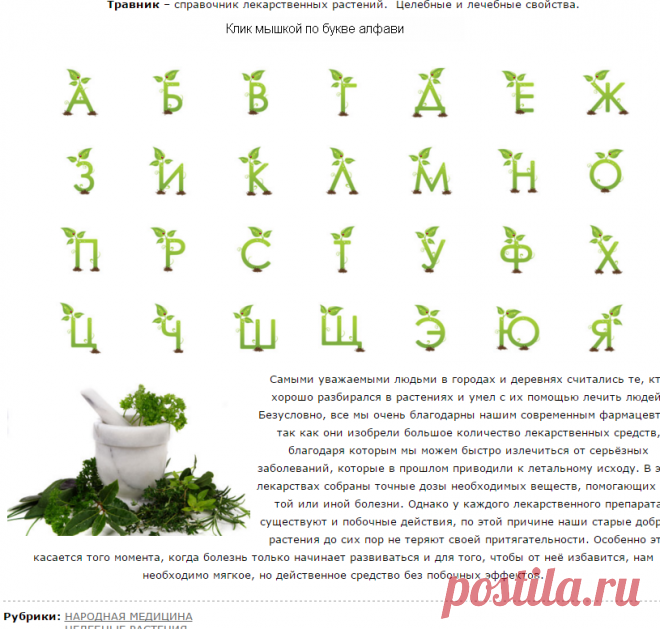 Здоровье. Травы.