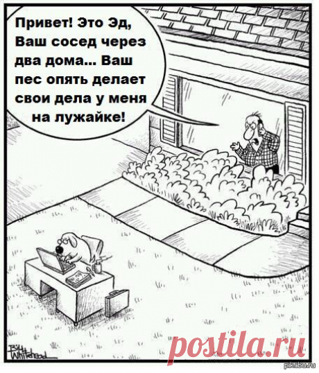 Павел Нагаев