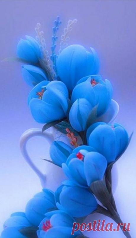 HAVE A NICE DAY