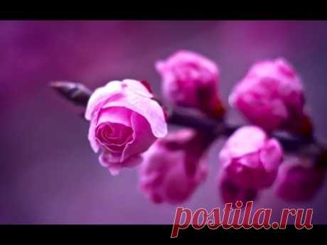 Красивая природа под классную музыку - YouTube