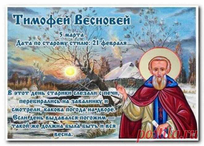По Тимофею весну смотрели – какой день, такая и весна. Если вокруг дерева края тающего снега крутые, то весна будет холодной, пологие – затяжной