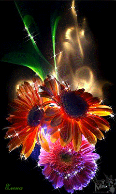 Kenneth Meacomes - Google+