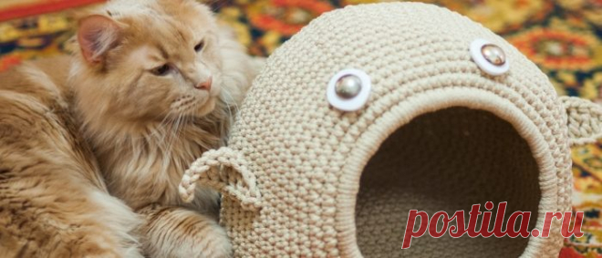 Вязаный домик для кошки: как сделать своими руками