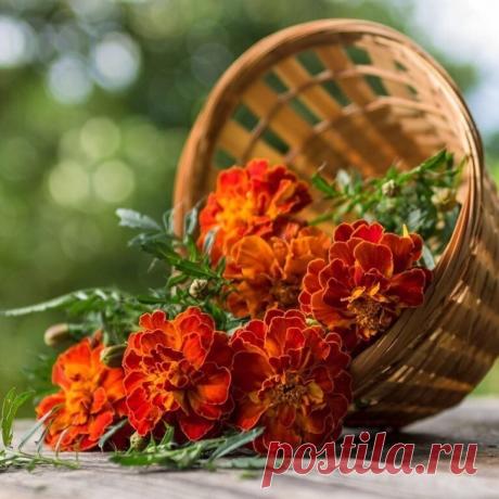 (2) УТРЕННИЙ КОФЕ