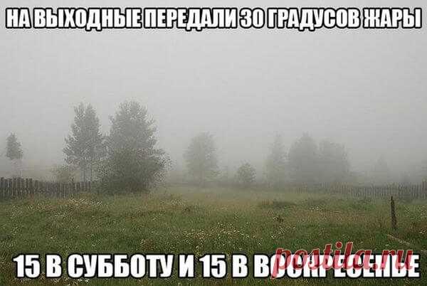 Приколы про холодное лето - (99 картинок и фото)
