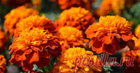 Новости - МирТесен