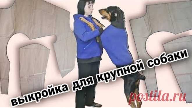 Выкройка комбинезона для собак крупных пород. Построение выкройки.