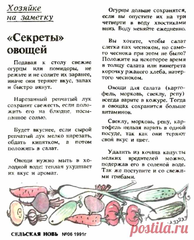 Хозяйке на заметку. Секреты овощей