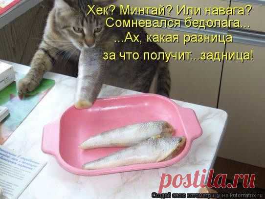 Интересные новости