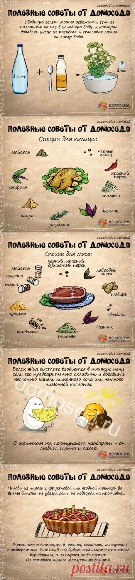 Полезные советы — Делимся советами