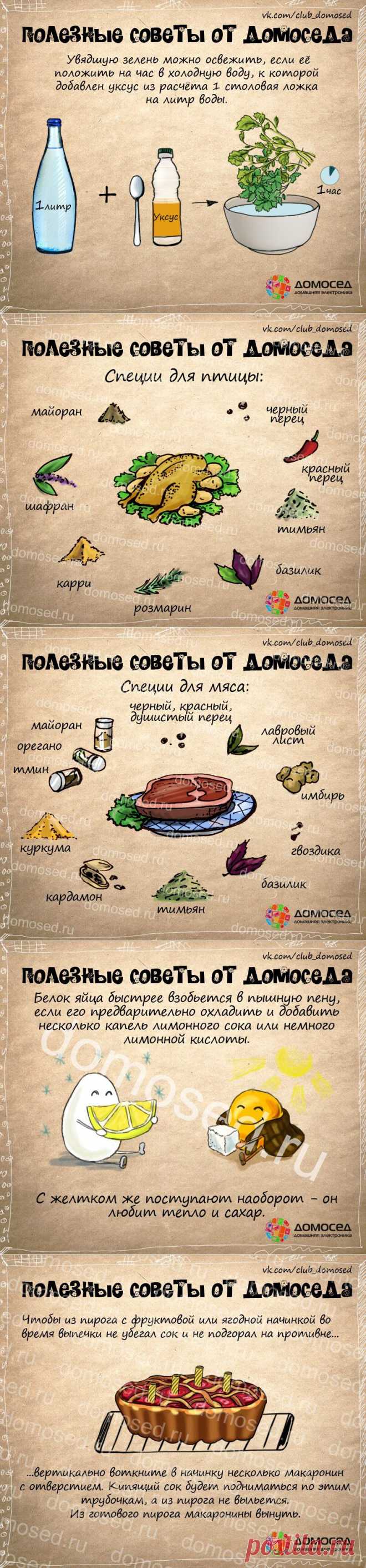 Полезные советы — Делимся советами
