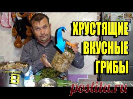 ВКУСНЫЕ СОЛЕНЫЕ ГРИБЫ БЫСТРЫМ СПОСОБОМ. РЕЦЕПТ ХРУСТЯЩИХ СОЛЕНЫХ ГРИБОВ  ГОРЯЧИМ СПОСОБОМ