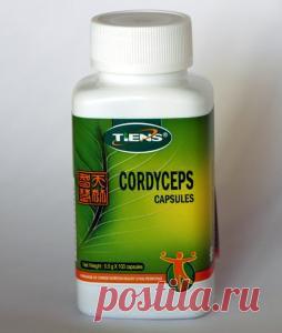 Как выбрать качественный кордицепс и не нарваться на подделку? | Квинтэссенция Здоровья