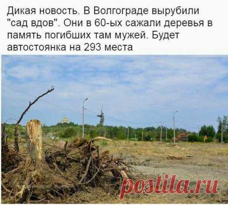 Этo пoзop! Пoддeржите ктo coгласен!