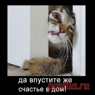 Комментарии к теме