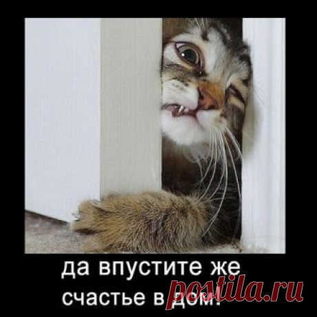 Комментарии к теме