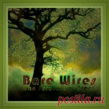 The Jerusalem Cross - Bare Wires (2024) Artist: The Jerusalem Cross Album: Bare Wires Year: 2024 Country: USA Style: Post-Punk, Gothic Rock