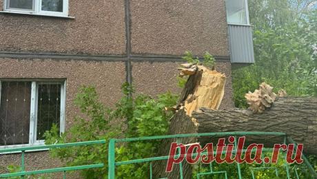 В Челябинске дерево упало на людей. Дерево упало на людей в Ленинском районе Челябинска. Об этом сообщает Telegram-канал "Агентство чрезвычайных новостей" со ссылкой на видеозапись инцидента. Происшествие случилось во дворе дома 96 по улице Дзержинского. Из-за ...
