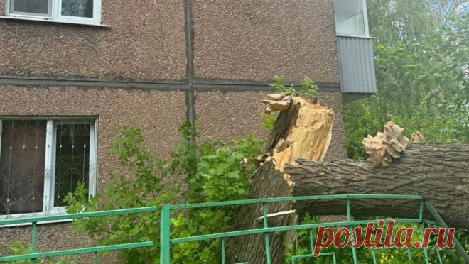 В Челябинске дерево упало на людей. Дерево упало на людей в Ленинском районе Челябинска. Об этом сообщает Telegram-канал "Агентство чрезвычайных новостей" со ссылкой на видеозапись инцидента. Происшествие случилось во дворе дома 96 по улице Дзержинского. Из-за ...