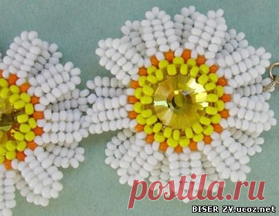 Ромашка с риволи