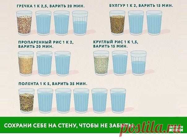 Хитрости Жизни