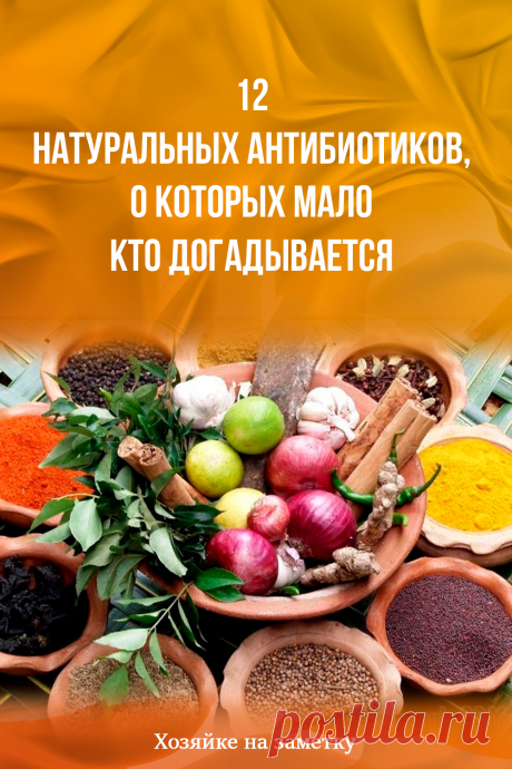 12 натуральных антибиотиков, о которых мало кто догадывается