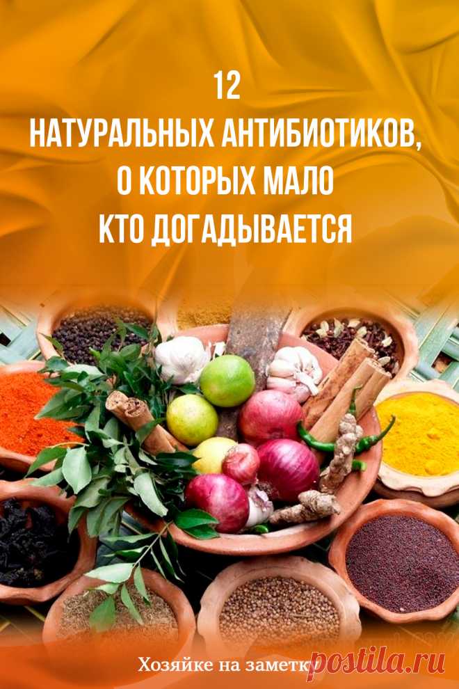 12 натуральных антибиотиков, о которых мало кто догадывается