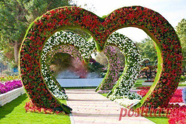 Цветник Al Ain Paradise, Абу-Даби, ОАЭ