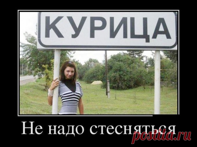 Держи хвост пистолетом