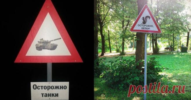 Такому в автошколе меня не обучали!