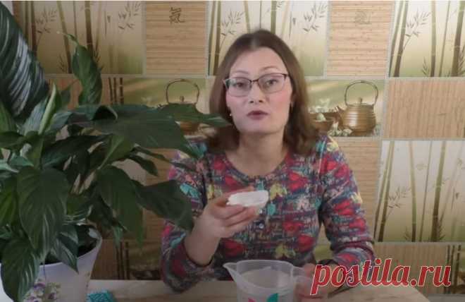 Бесплатная супер-подкормка для сумасшедшего роста комнатных растений!