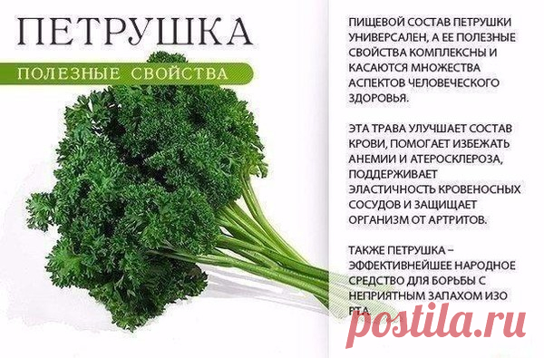 (4) Мой Мир@Mail.Ru