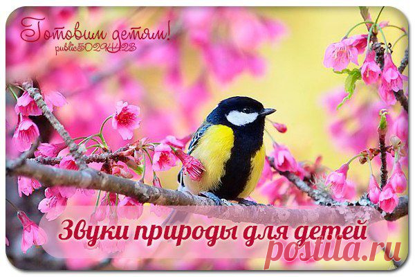 Готовим детям/Рецепты детям/Детское меню