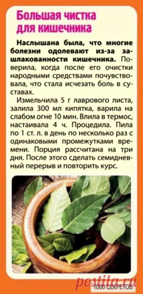 Большая чистка для кишечника лавровым листом