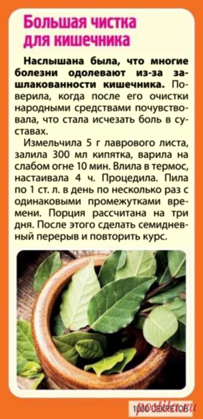 Большая чистка для кишечника лавровым листом