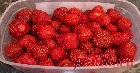 Клубника на зиму без варки
Сезон клубники в самом разгаре. И если вы уже вдоволь насытились свежими полезными ягодами, пора задуматься и о заготовках на зиму. Можно готовить варенье, джемы и компоты. А можно пойти альтернатив…