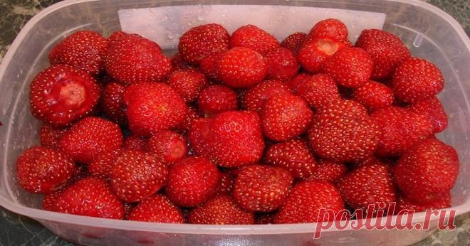 Клубника на зиму без варки 

Сезон клубники в самом разгаре. И если вы уже вдоволь насытились свежими полезными ягодами, пора задуматься и о заготовках на зиму. Можно готовить варенье, джемы и компоты. А можно пойти альтернатив…