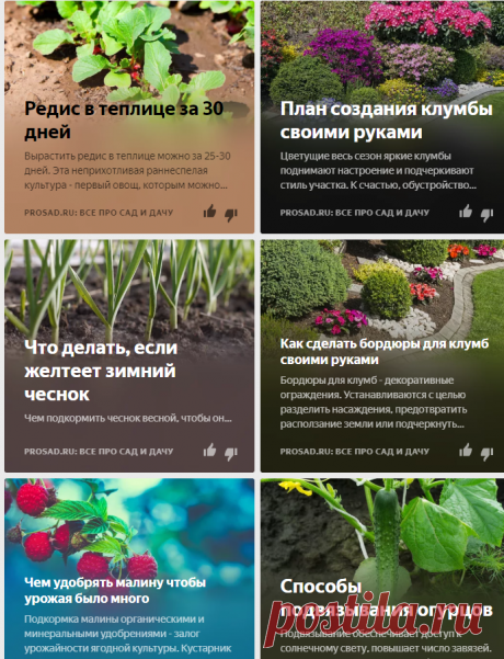 Prosad.ru: Все про сад и дачу | Яндекс Дзен