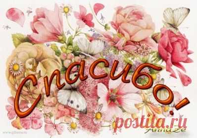 * * * * * * * * * * *