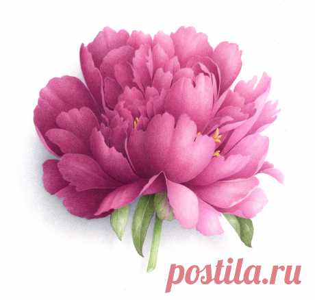 Коллекция картинок: Vincent Jeannerot 2