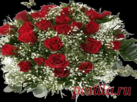 ВИДИО-ПОЗДРАВЛЕНИЯ / Atavi - менеджер закладок