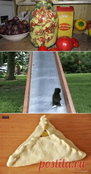 БЕЗ  ВОДЫ