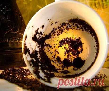 пустая кофейная чашка - картинки: 10 тыс изображений найдено в Яндекс.Картинках