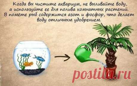 Очень полезные советы | Хитрости Жизни