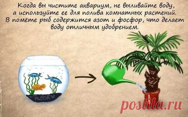 Очень полезные советы | Хитрости Жизни