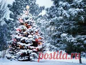 Новогодние обои, обои для рабочего стола на Desktopwallpapers.ru, страница 2 из 45